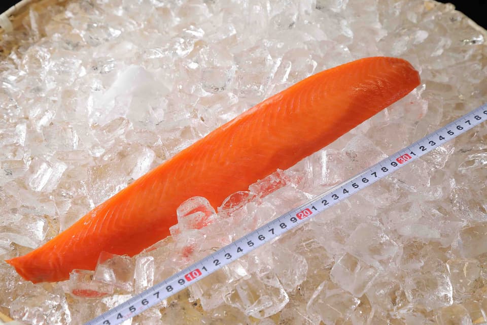 (生食用)チリ産  トラウトサーモン背部分 骨取りフィレ(1本350g前後)