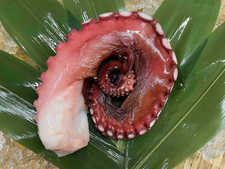 (生食用)北海道産 水蛸 1本500g前後(当社急速冷凍商品)