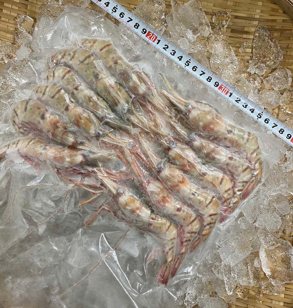 秋田県産 ボタン海老 500g12尾前後(生食用)【当社急速冷凍商品】