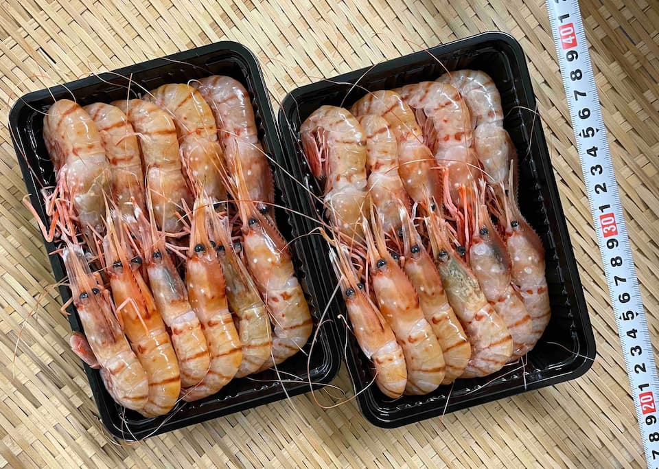 秋田県産 ボタン海老脱皮 有頭殻付き500g【当社急速冷凍商品】