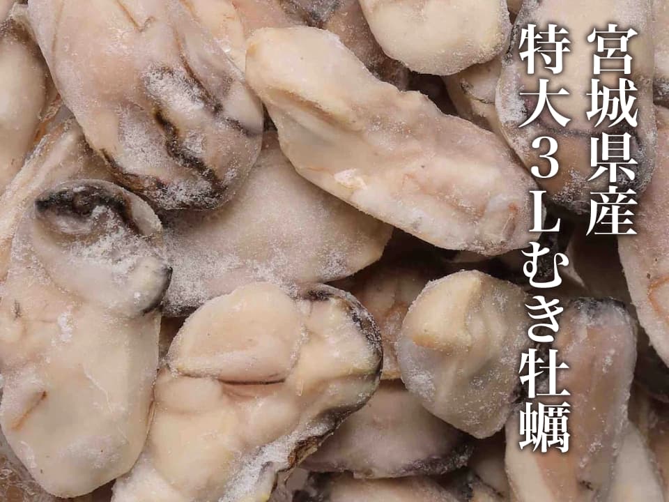 宮城県産 むき牡蠣 特大3Lサイズ（加熱用）