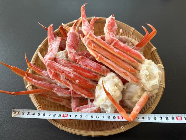 外国産 ボイル本ズワイガニ Lサイズ 1kg（5〜6肩）