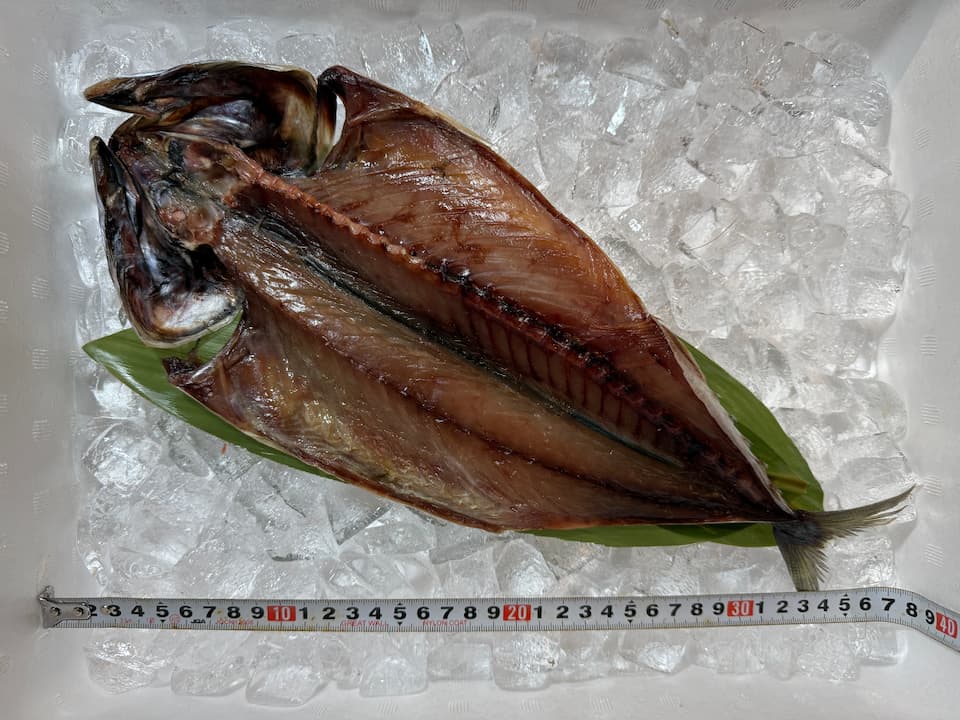 宮城県 石巻産 金華サバ 干物 特大 450g前後 ブランドサバ とろさば 一夜干し おつまみ ギフト 御祝