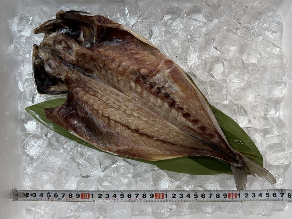 国産 アジの開き 干物 特大 450g前後 あじ 鯵 一夜干し 巨大 肉厚 脂乗り抜群 おつまみ 御祝 ギフト