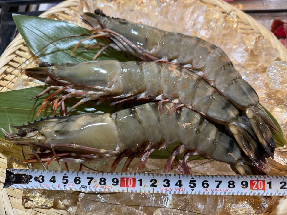 特大 ブラックタイガー 有頭 12尾 冷凍 有頭エビ 特大サイズ エビフライ 天ぷら 塩焼き バーベキュー BBQ ごちそう ギフト