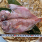 金目鯛 開き 干物 特大 キンメ きんめだい 一夜干し 高級魚 高級居酒屋の味 脂乗り抜群 御祝 ギフト