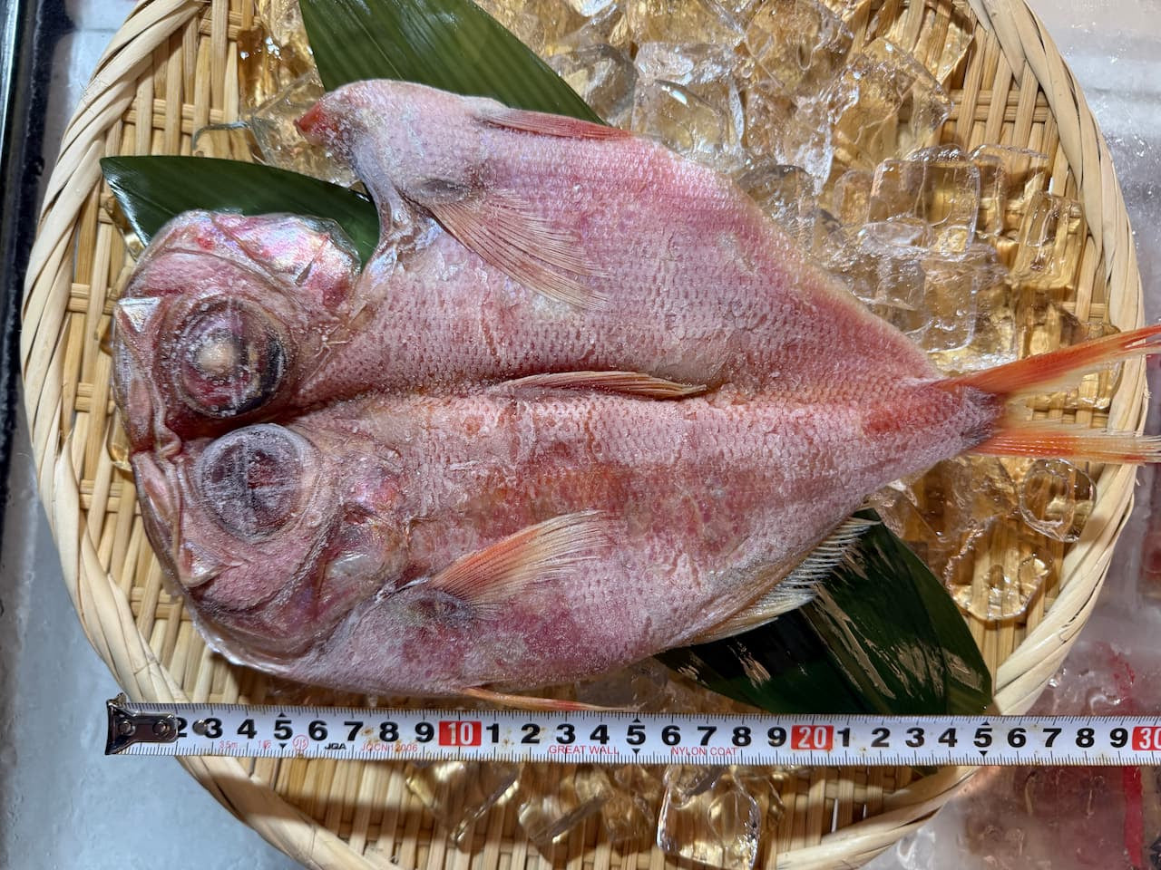 金目鯛 開き 干物 特大 キンメ きんめだい 一夜干し 高級魚 高級居酒屋の味 脂乗り抜群 御祝 ギフト