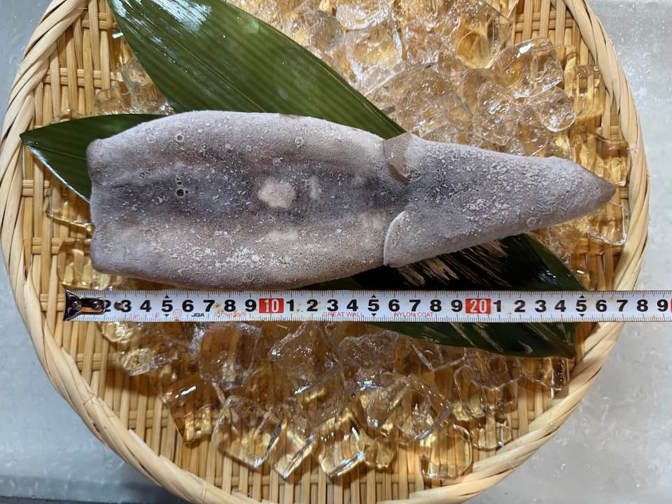 つぼ抜き マツイカ 3枚セット 冷凍 下処理済み いか イカ 烏賊 筒焼き 姿焼き 屋台の味 おつまみ バーベキュー BBQ 時短 調理用