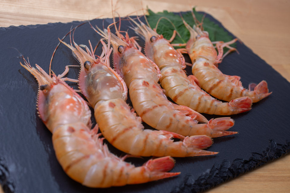 えびなう年末セット（本ズワイガニ・ボタン海老・ホタテ・いくら）