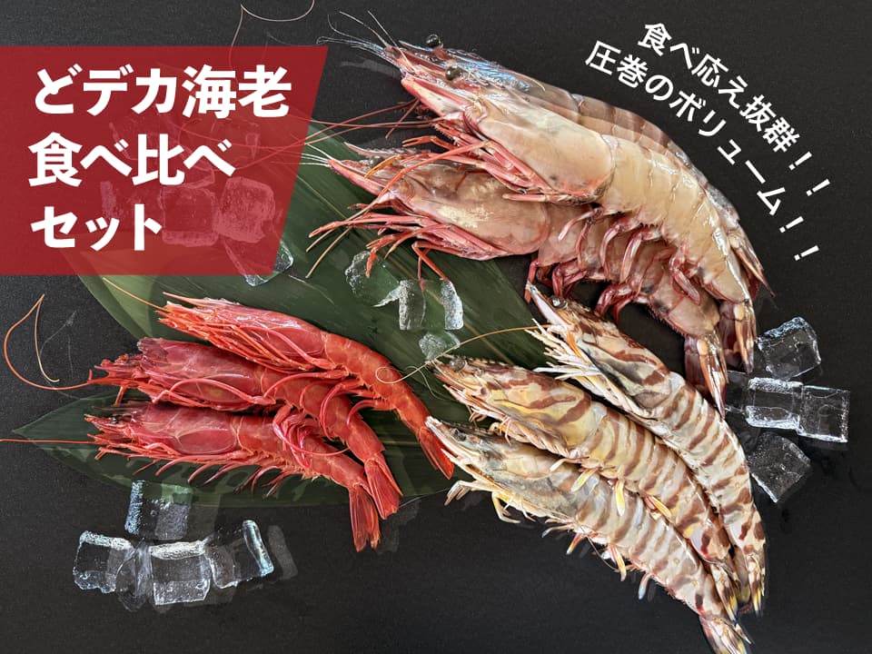 （加熱用）デカえび食べ比べセット（シータイガー・カラビネーロ・特大車海老）