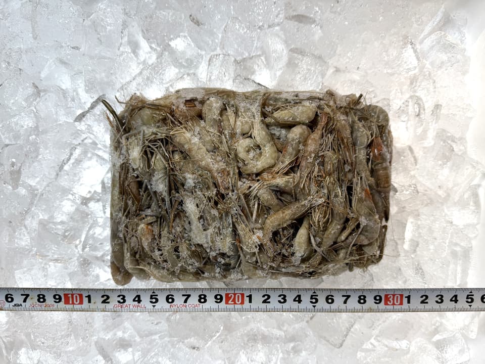 川海老 250g 冷凍 テナガエビ 川えび かわえび 唐揚げ から揚げ おつまみ 居酒屋 大容量