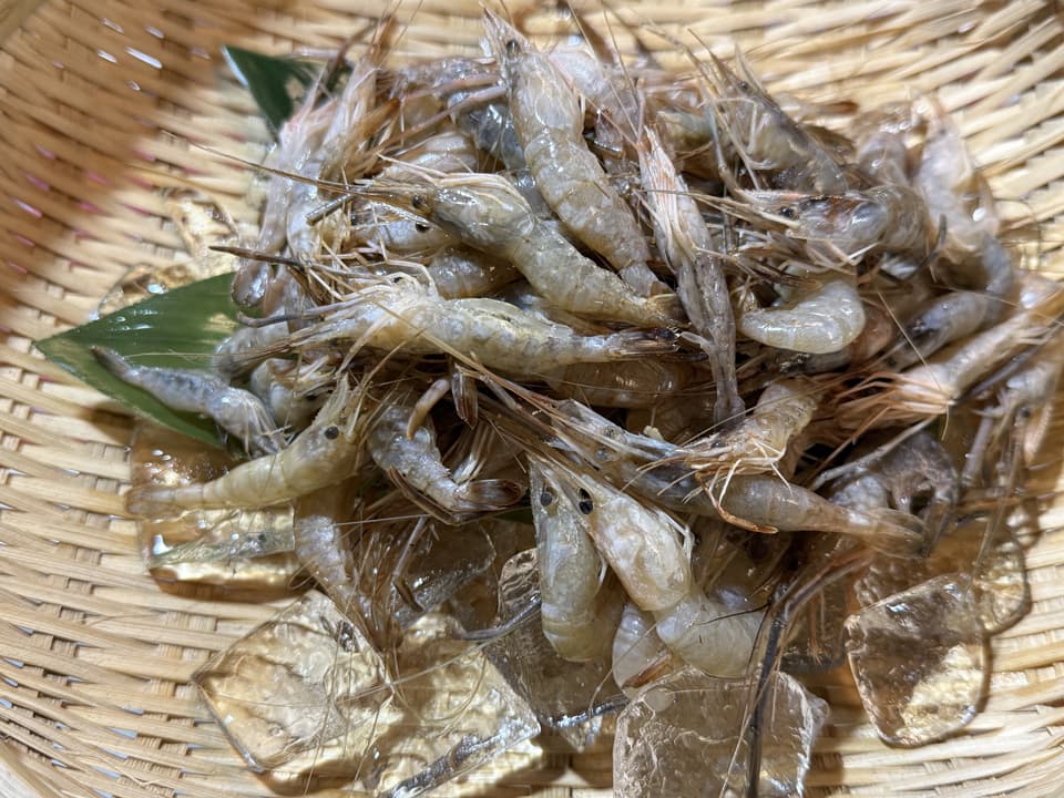 川海老 250g 冷凍 テナガエビ 川えび かわえび 唐揚げ から揚げ おつまみ 居酒屋 大容量