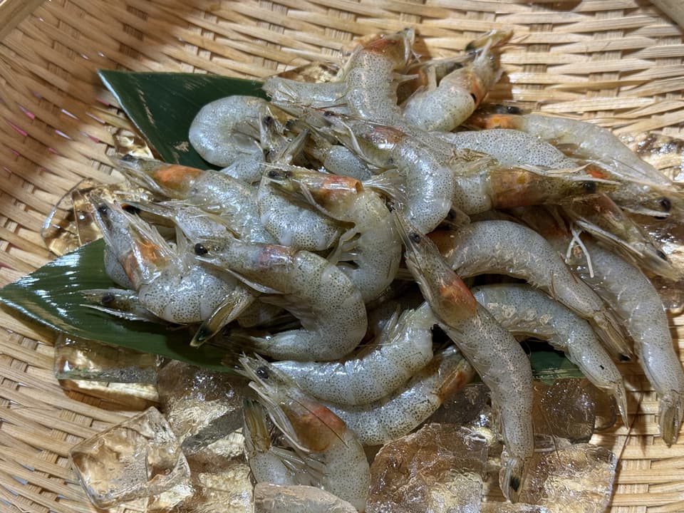 芝海老 250g 冷凍 しばえび 芝えび 殻ごと唐揚げ かき揚げ おつまみ
