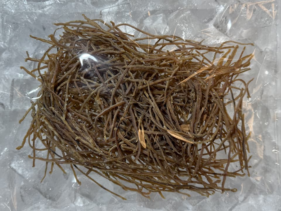 国産 スルメイカ 千切り 100g  乾物 刻みするめ 松前漬け おつまみ 出汁 珍味