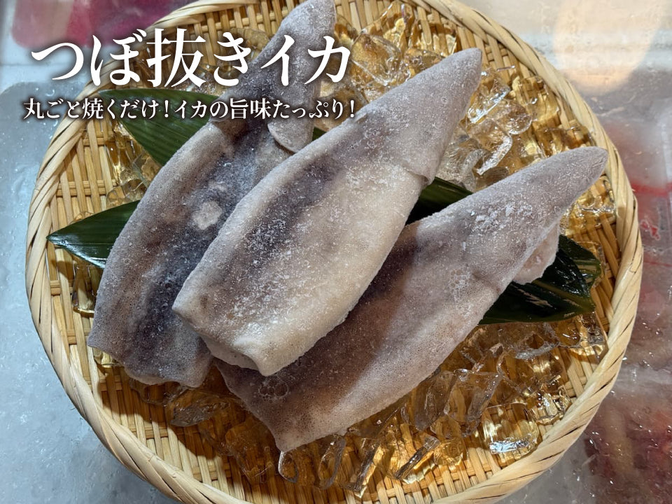 つぼ抜き マツイカ 3枚セット 冷凍 下処理済み いか イカ 烏賊 筒焼き 姿焼き 屋台の味 おつまみ バーベキュー BBQ 時短 調理用