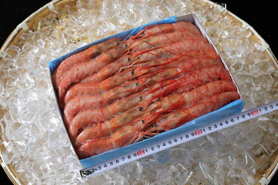 アルゼンチン赤海老大サイズ1.8kg 30尾入（有頭殻付き）